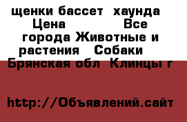 щенки бассет- хаунда › Цена ­ 20 000 - Все города Животные и растения » Собаки   . Брянская обл.,Клинцы г.